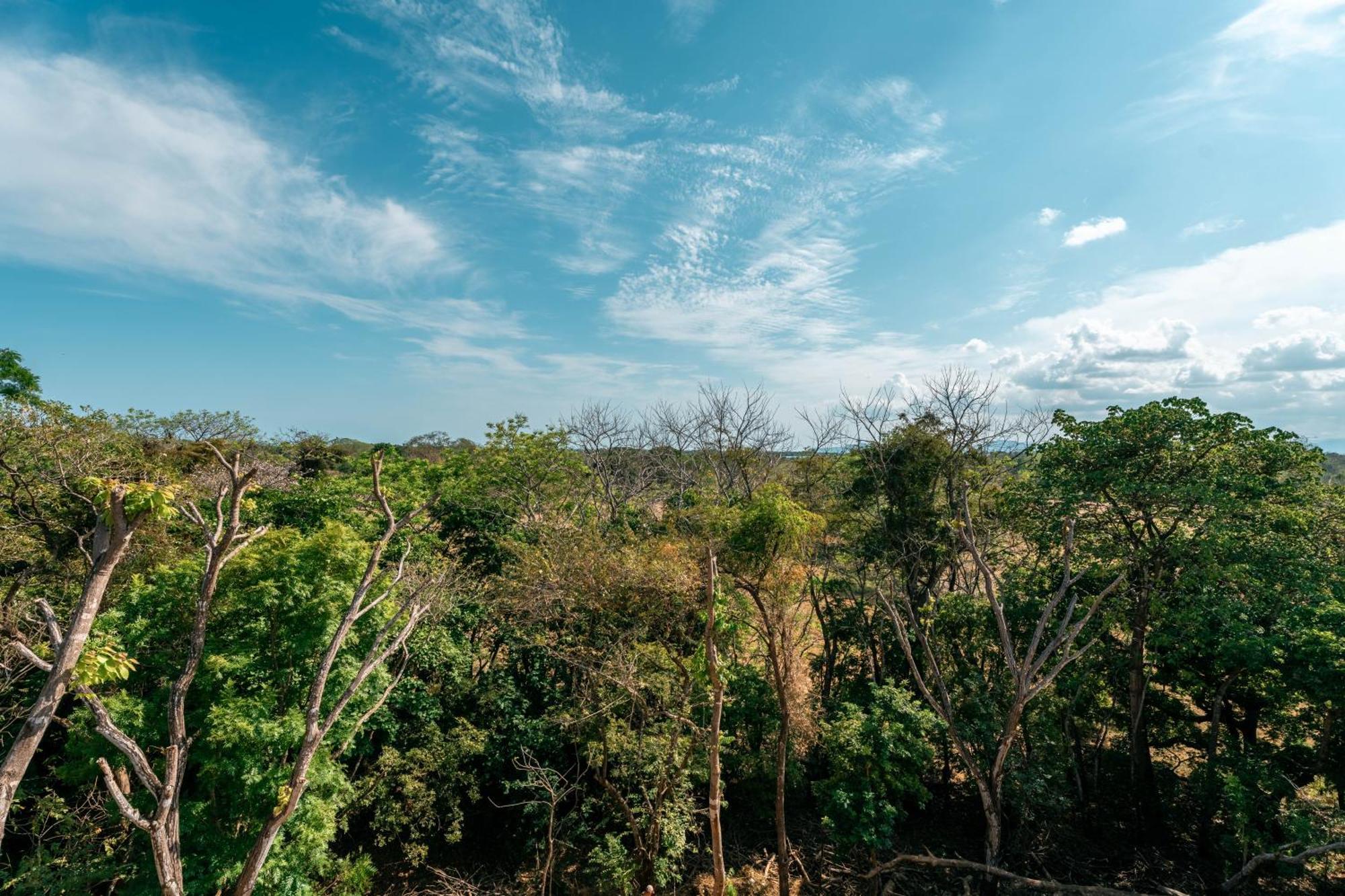 Alaya Yoga & Surf & Retreat Hotell Playa Venao Eksteriør bilde